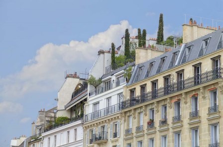 Paris' Roof Gardens by Cora Niele art print