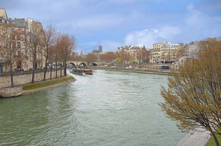 Seine River In Paris Center by Cora Niele art print