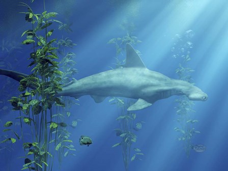 Hammer Head Among The Seaweed by Daniel Eskridge art print