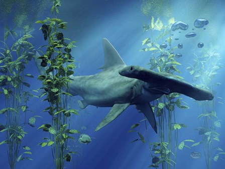 Hammerhead by Daniel Eskridge art print