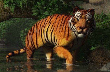 Wading Tiger by Daniel Eskridge art print