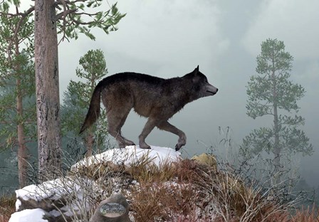 Winter Wolf by Daniel Eskridge art print