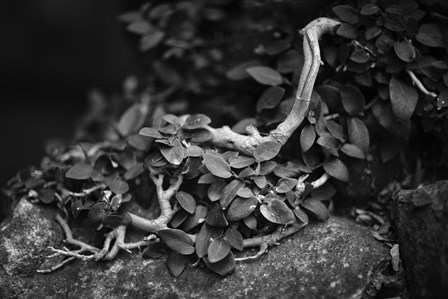 Chanteuse by Geoffrey Ansel Agrons art print