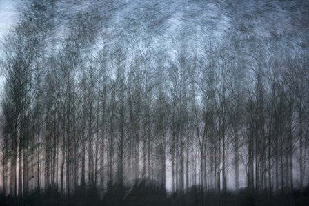 Verschrankung by Geoffrey Ansel Agrons art print