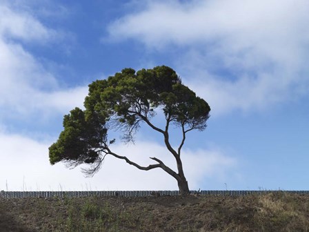 Guilty Remnant (Polychrome) by Geoffrey Ansel Agrons art print