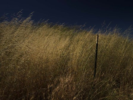 Panhandle by Geoffrey Ansel Agrons art print