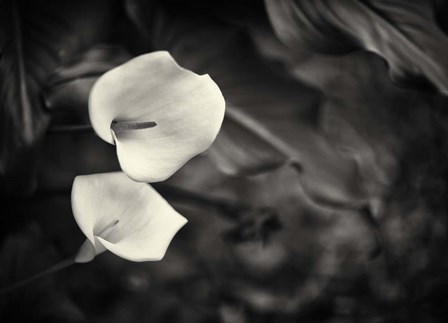 Something More Beside You by Geoffrey Ansel Agrons art print