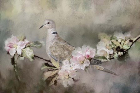 Eurasian Dove In The Garden by Jai Johnson art print