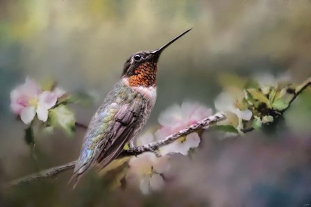 Garden Guardian by Jai Johnson art print