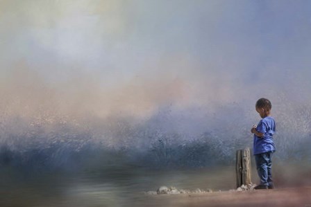 Little Rock Collector by Jai Johnson art print