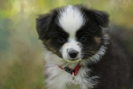 Puppyhood 3 by Jai Johnson art print