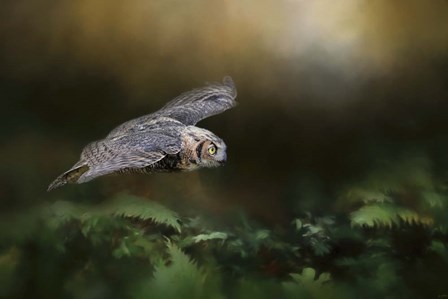 A Night With The Great Horned Owl 1 by Jai Johnson art print