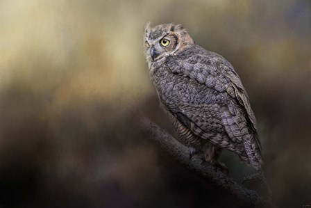 A Night With The Great Horned Owl 2 by Jai Johnson art print