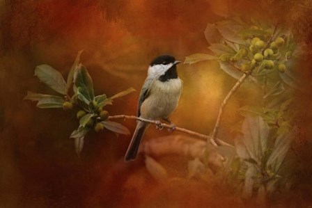 Autumn Day Chickadee by Jai Johnson art print