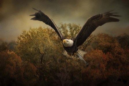 Fall Fishing by Jai Johnson art print