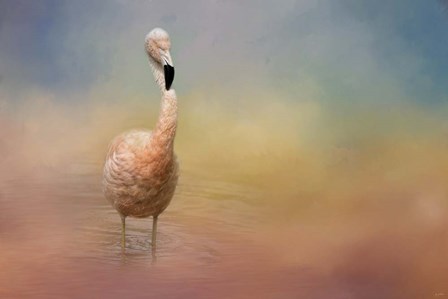 Flamingo Friday by Jai Johnson art print