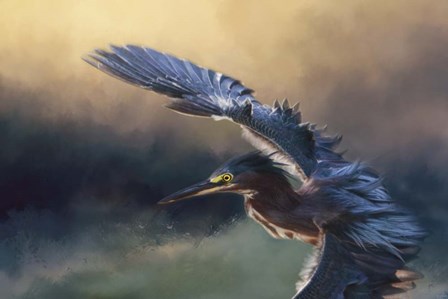 Flight Of The Green Heron 2 by Jai Johnson art print