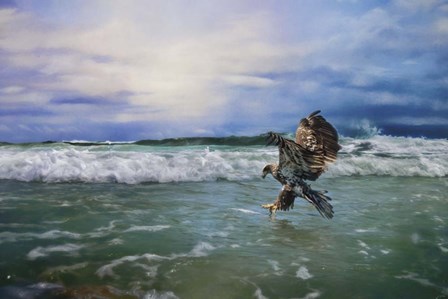 Juvenile Eagle At Sea by Jai Johnson art print