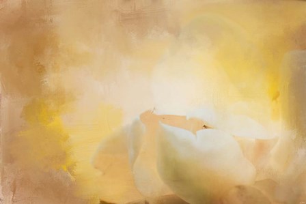 Late Magnolia 1 by Jai Johnson art print