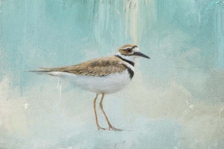 Little Seaside Friend by Jai Johnson art print