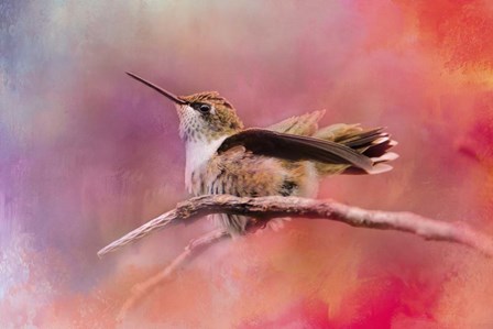 Pretty In Pink by Jai Johnson art print