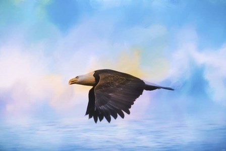 Sea Coasting by Jai Johnson art print