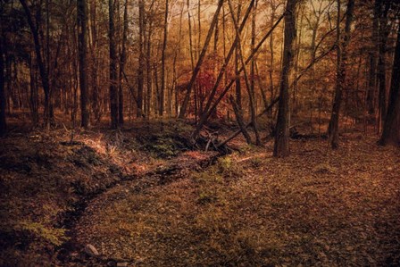 Shiloh Creek 6 by Jai Johnson art print