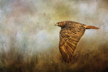 Stealthy Hunter by Jai Johnson art print