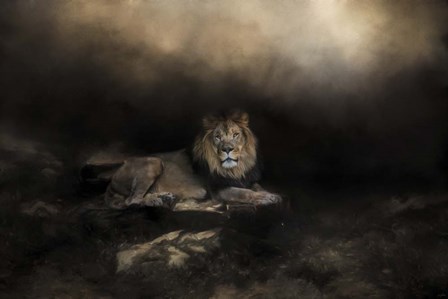 The Kings Domain by Jai Johnson art print