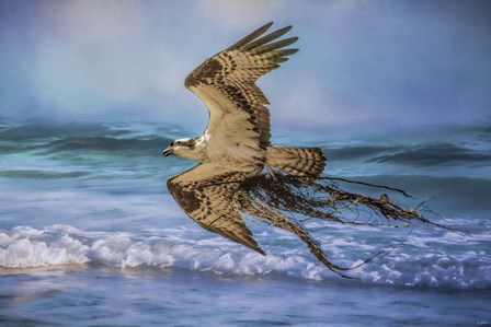 Treasures For The Nest by Jai Johnson art print