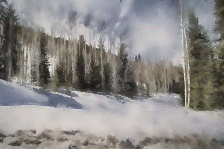 Winter Impressions In Colorado 9 by Jai Johnson art print