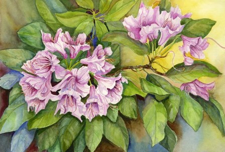 Pink Sunlit Azalea by Joanne Porter art print