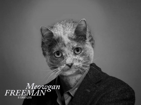 Meowgan Freeman by Kimberly Glover art print