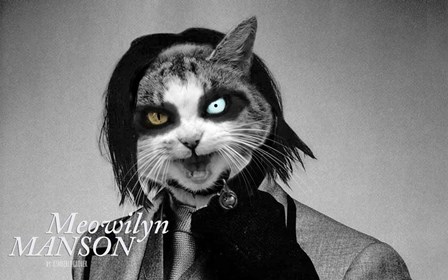 Meowilyn Manson by Kimberly Glover art print