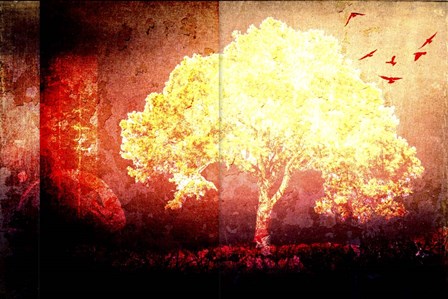 July Tree 4 by LightBoxJournal art print