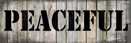 Country Sign 2 by LightBoxJournal art print