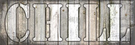 Country Sign V1 1 by LightBoxJournal art print