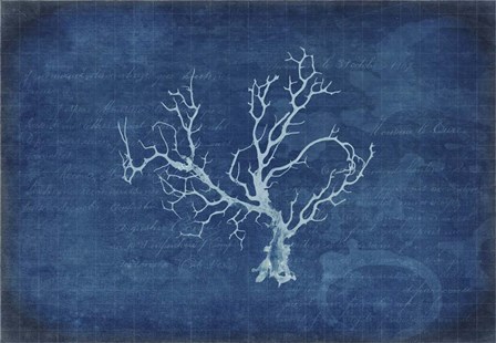 Gypsy Blue Cyanotype V1 by LightBoxJournal art print