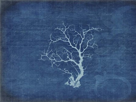 Gypsy Blue Cyanotype V2 by LightBoxJournal art print