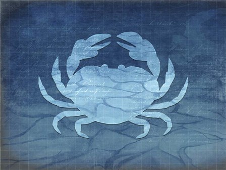 Gypsy Blue Cyanotype V4 by LightBoxJournal art print