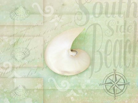 Gypsy Sea Green 2 by LightBoxJournal art print