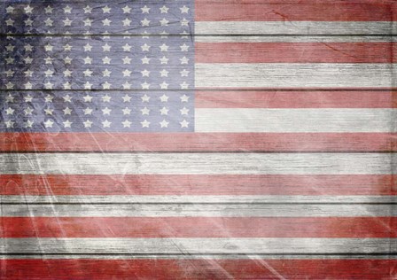 American Freedom Collection 1 by LightBoxJournal art print