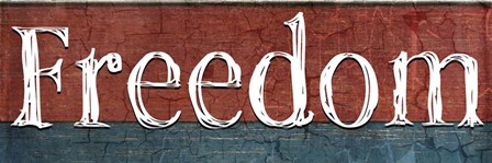 American Freedom Collection V11 by LightBoxJournal art print