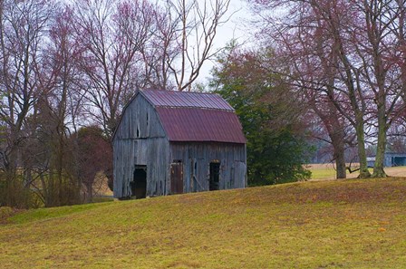 Abandon Barn by Lori Hutchison art print