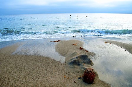 Zuma Beach, Ca by Lori Hutchison art print