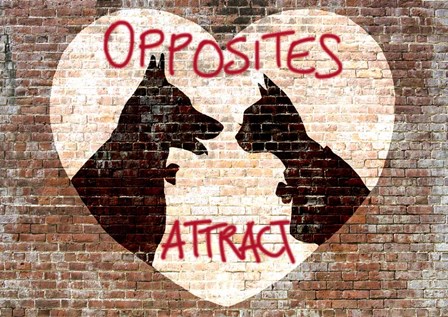 Opposites attract by Masterfunk Collective art print