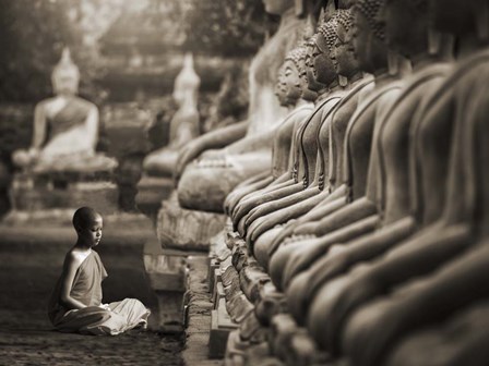 Young Buddhist Monk praying, Thailand (sepia) by Pangea Images art print