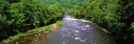 River Passing through a Forest, Pigeon River, Cherokee National Forest, Tennessee by Panoramic Images art print