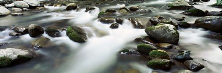 Rocks in Little Pigeon River, Great Smoky Mountains National Park, Tennessee by Panoramic Images art print