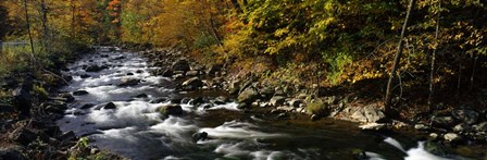 River Flowing through a Forest, Chittenango Creek, New York State by Panoramic Images art print
